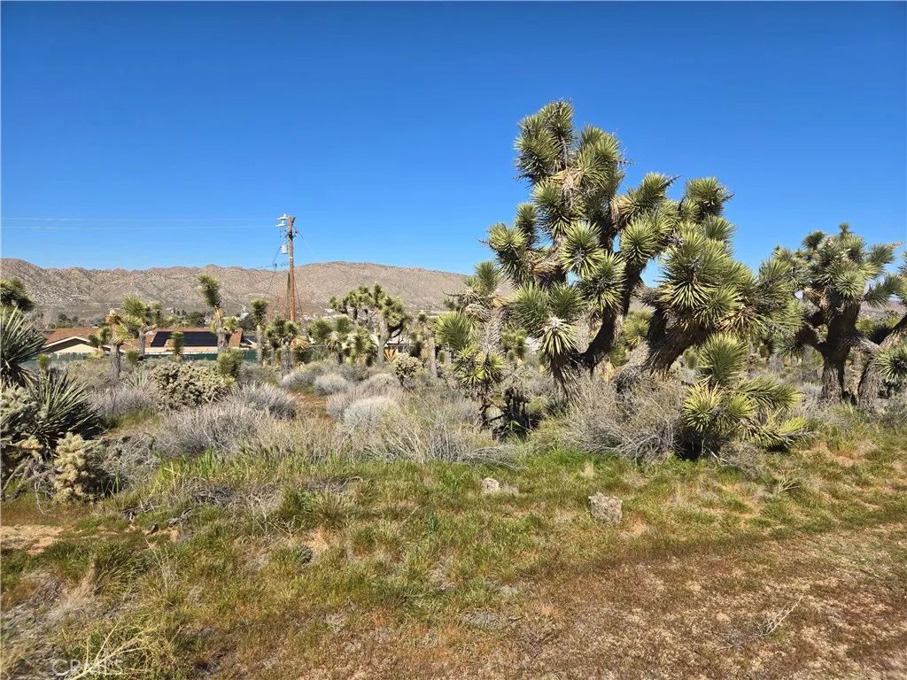 55000 Bunny, Yucca Valley, CA 92284