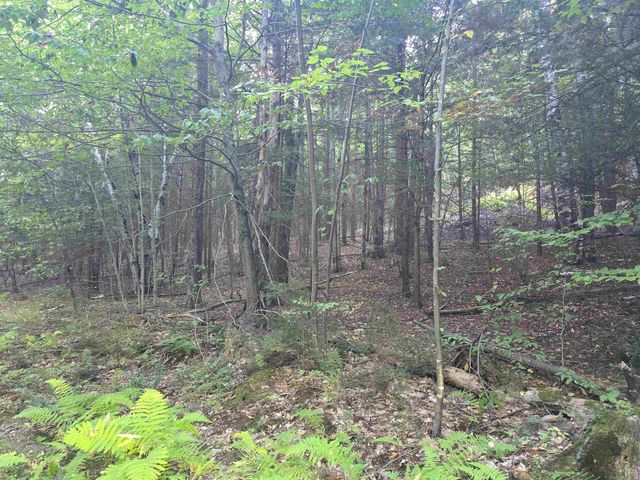 0 Thayer Road 1 2 & 3, Westminster, VT 05158