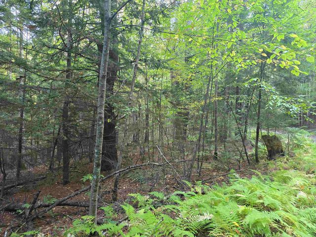 0 Thayer Road 1 2 & 3, Westminster, VT 05158