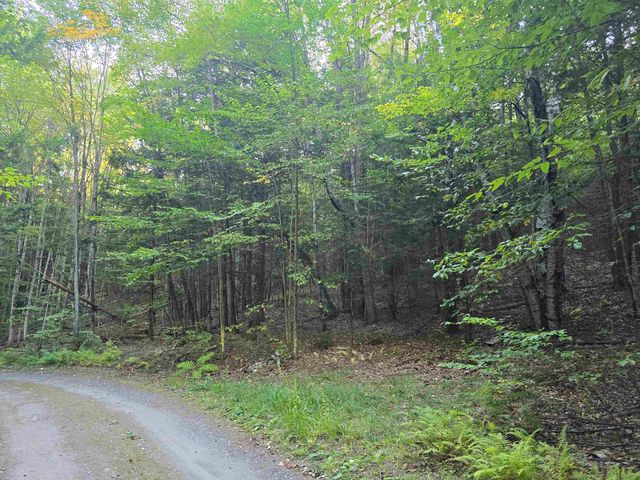 0 Thayer Road 1 2 & 3, Westminster, VT 05158