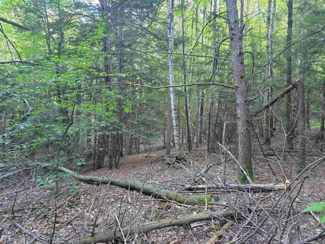 0 Thayer Road 1 2 & 3, Westminster, VT 05158