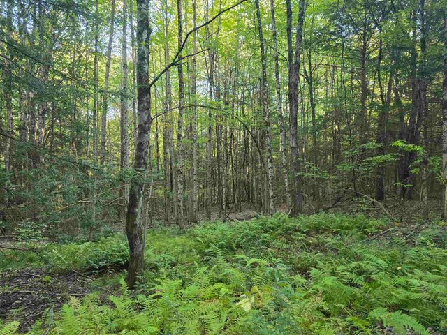 0 Thayer Road 1 2 & 3, Westminster, VT 05158