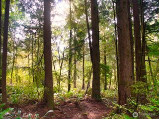 0 Niemann Lane, Hoquiam, WA 98550