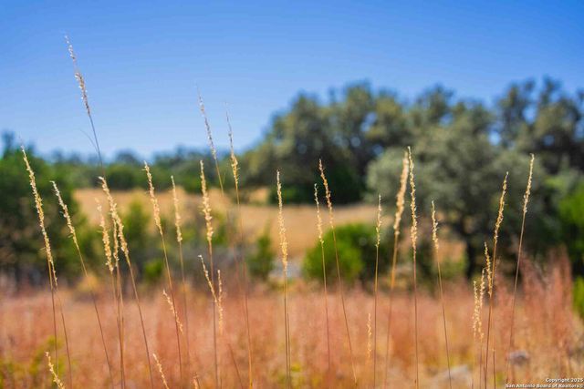 852 SD 24755, Rocksprings, TX 78880