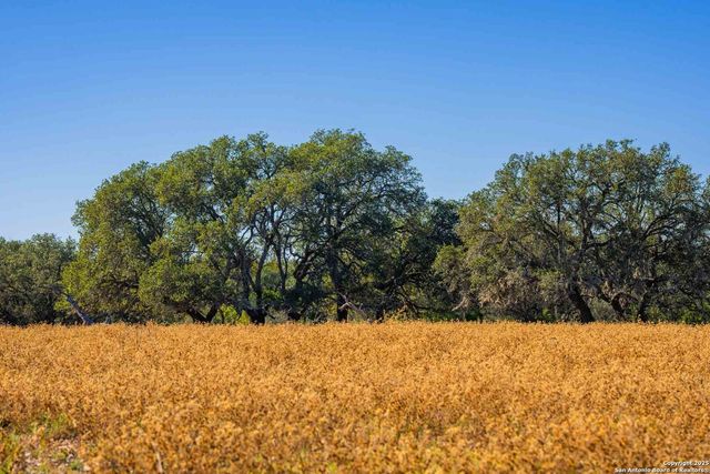 852 SD 24755, Rocksprings, TX 78880