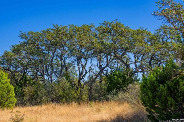 852 SD 24755, Rocksprings, TX 78880