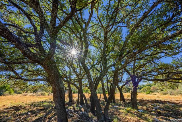 852 SD 24755, Rocksprings, TX 78880