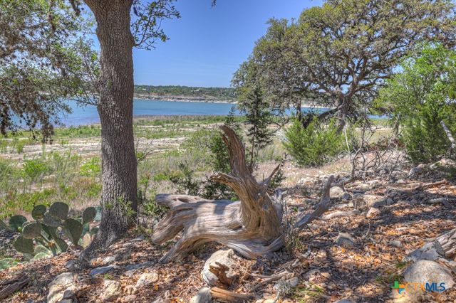 1000 B.a.m.c. Drive, Canyon Lake, TX 78133