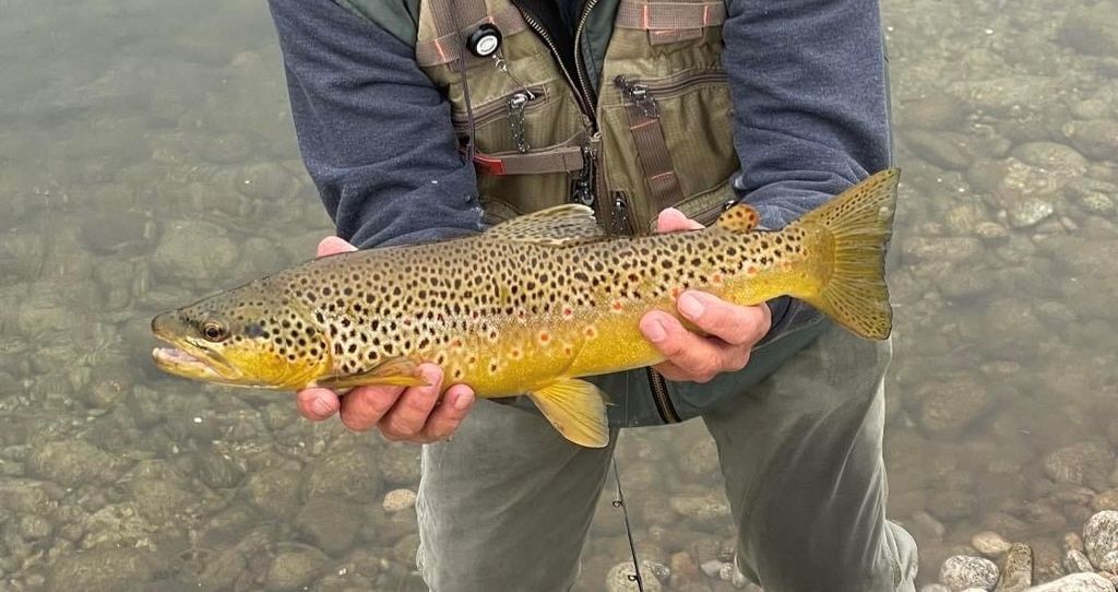 2725 River Bend Lane, Stevensville, MT 59870 photo 64