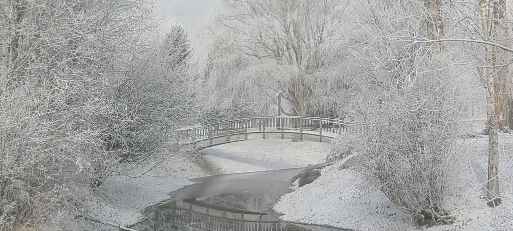 2725 River Bend Lane, Stevensville, MT 59870 photo 66