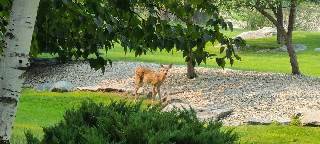 2725 River Bend Lane, Stevensville, MT 59870 photo 79
