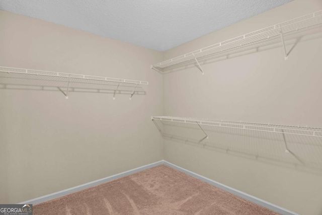 469 NE Archie Way NE, Ludowici, GA 31316