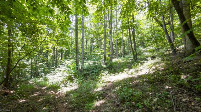 00 Hendren Road, Moravian Falls, NC 28654