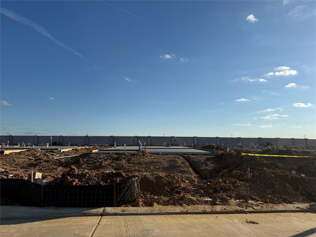 29207 Dandelion Sky Drive, Waller, TX 77484