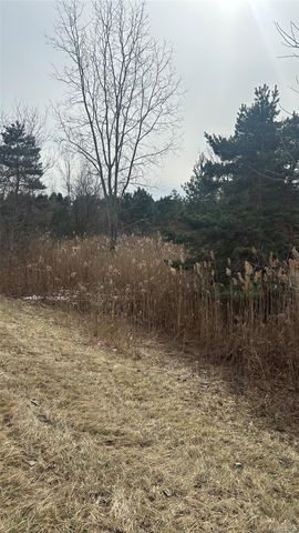 0 Ludwig, Oxford Charter Township, MI 48371