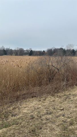 0 Ludwig, Oxford Charter Township, MI 48371