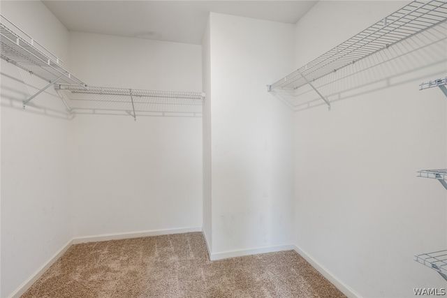 9280 Cotton Field, Tuscaloosa, AL 35405