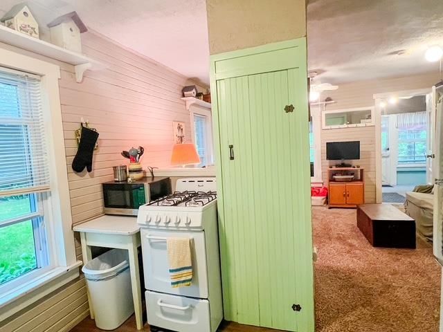 102 John Drive, Harrison, MI 48625