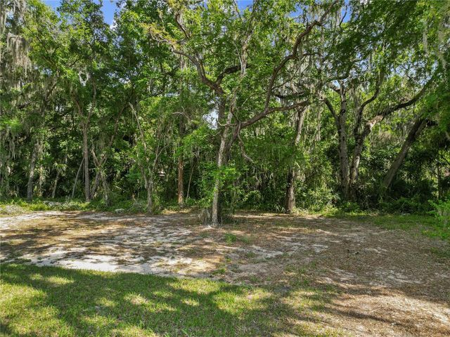 1025 CR 452A, Lake Panasoffkee, FL 33538