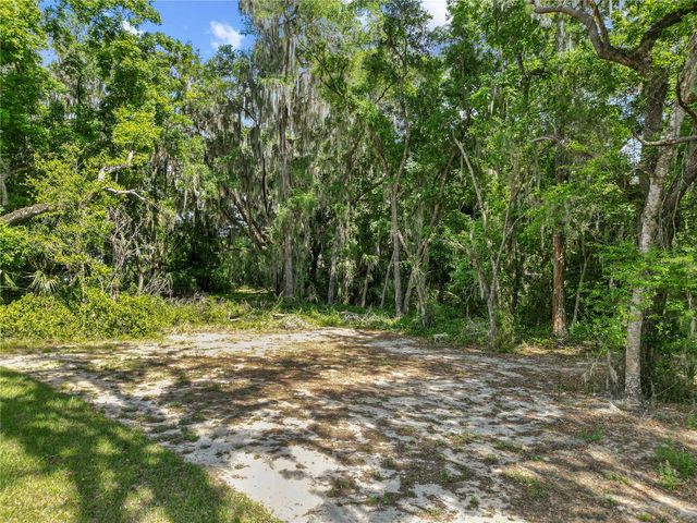 1025 CR 452A, Lake Panasoffkee, FL 33538