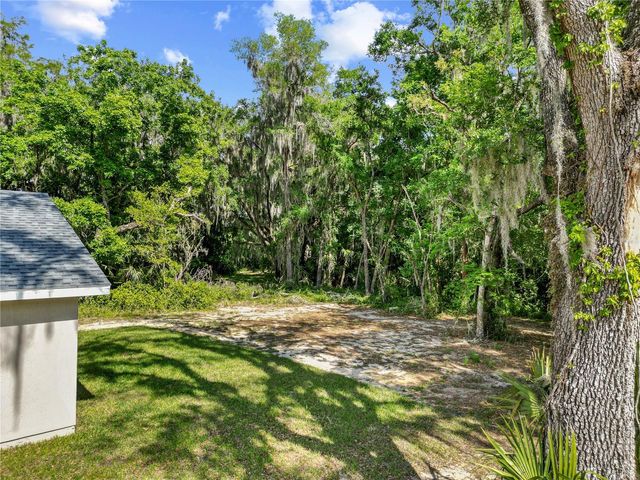 1025 CR 452A, Lake Panasoffkee, FL 33538