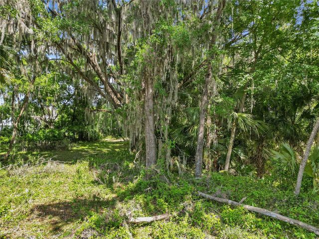 1025 CR 452A, Lake Panasoffkee, FL 33538