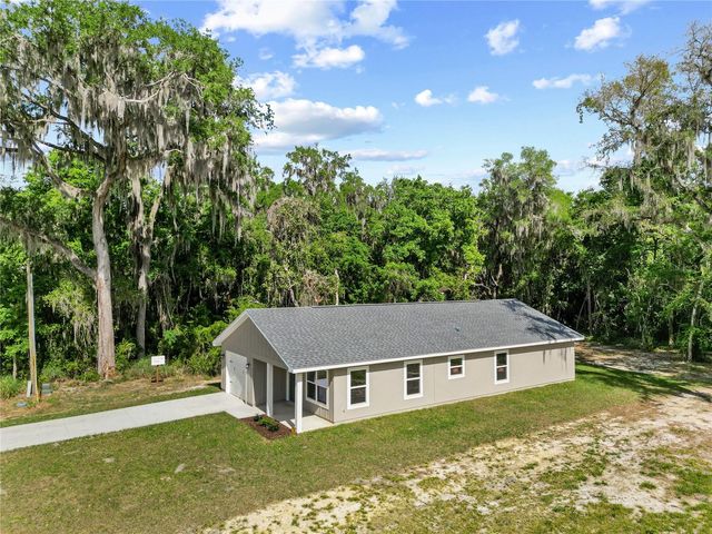 1025 CR 452A, Lake Panasoffkee, FL 33538