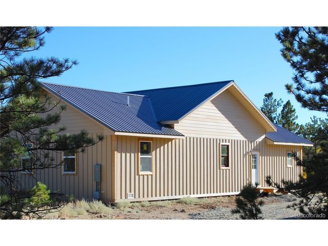 59 Whip Way, Hartsel, CO 80449