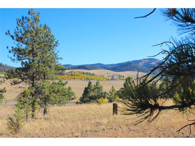 59 Whip Way, Hartsel, CO 80449