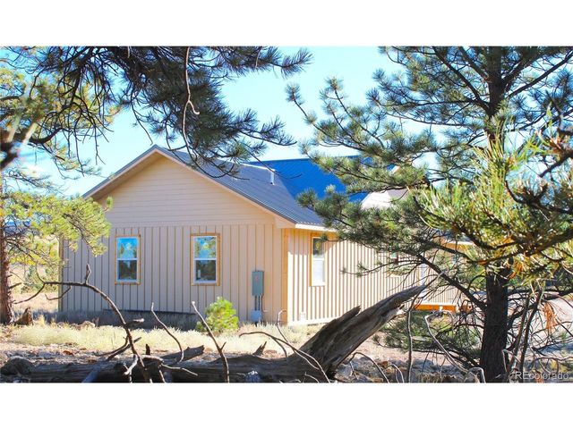 59 Whip Way, Hartsel, CO 80449