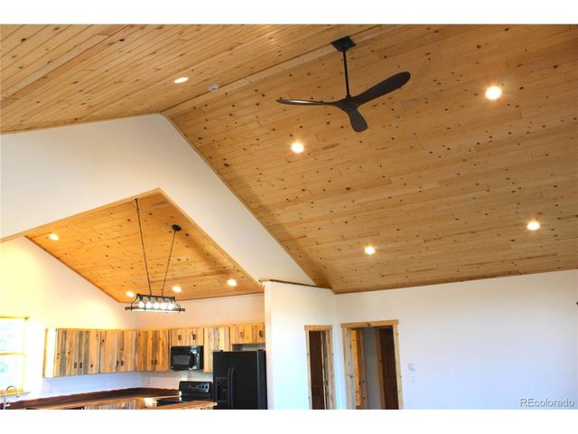 59 Whip Way, Hartsel, CO 80449
