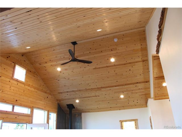 59 Whip Way, Hartsel, CO 80449