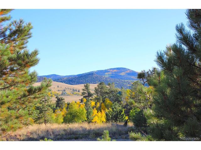 59 Whip Way, Hartsel, CO 80449