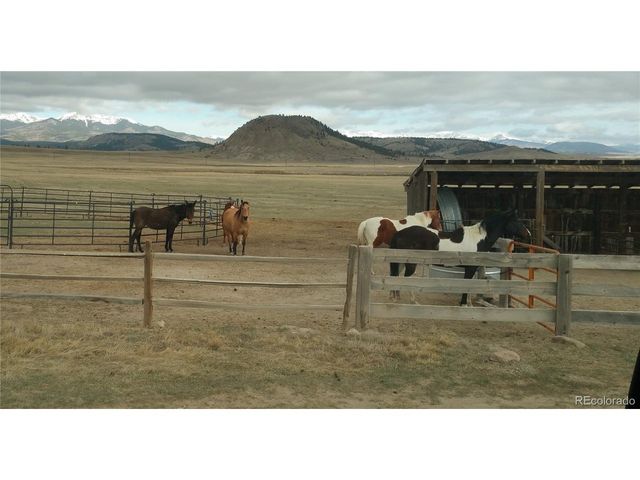 59 Whip Way, Hartsel, CO 80449