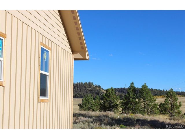 59 Whip Way, Hartsel, CO 80449