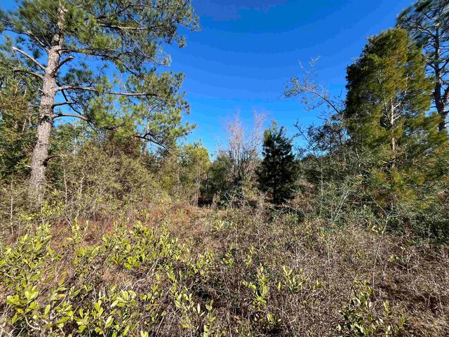 FAIRVIEW Road, Marianna, FL 32448