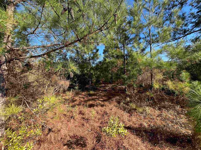 FAIRVIEW Road, Marianna, FL 32448