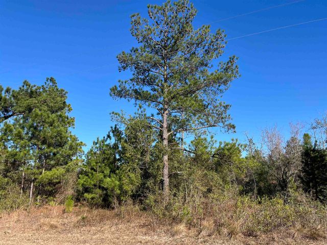 FAIRVIEW Road, Marianna, FL 32448