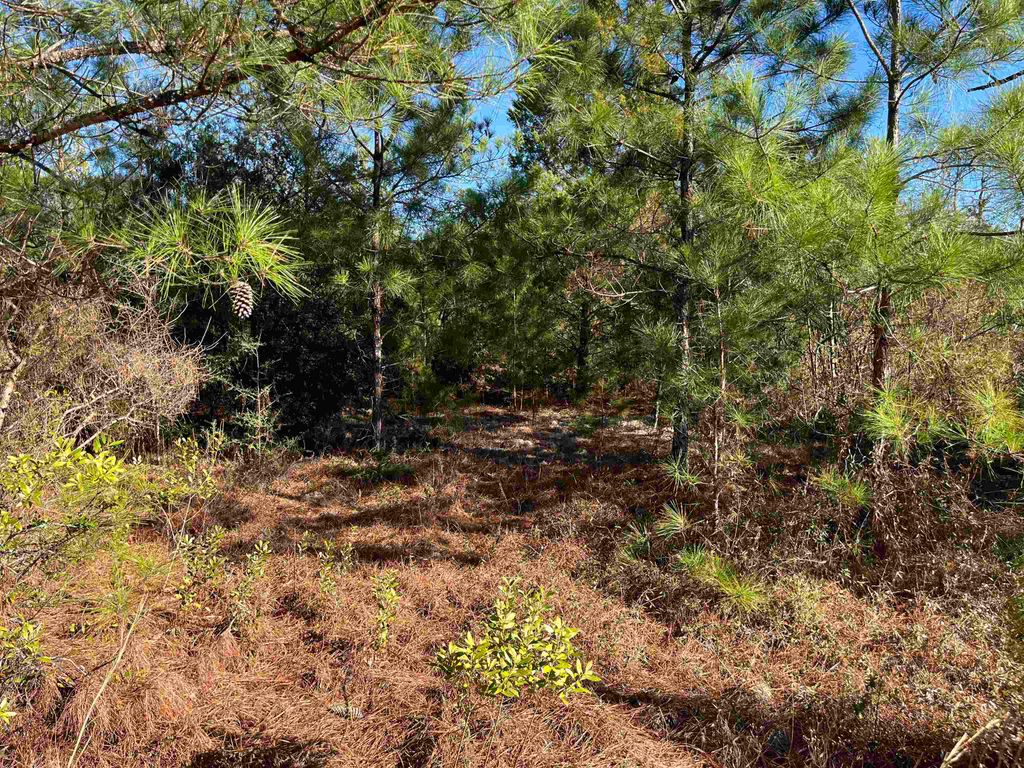 FAIRVIEW Road, Marianna, FL 32448