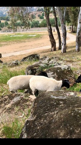 37728 Squaw Valley Road, Yokuts Valley, CA 93675