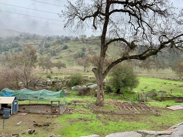 37728 Squaw Valley Road, Yokuts Valley, CA 93675