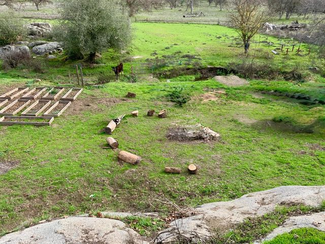 37728 Squaw Valley Road, Yokuts Valley, CA 93675