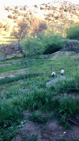 37728 Squaw Valley Road, Yokuts Valley, CA 93675