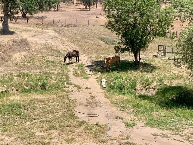 37728 Squaw Valley Road, Yokuts Valley, CA 93675