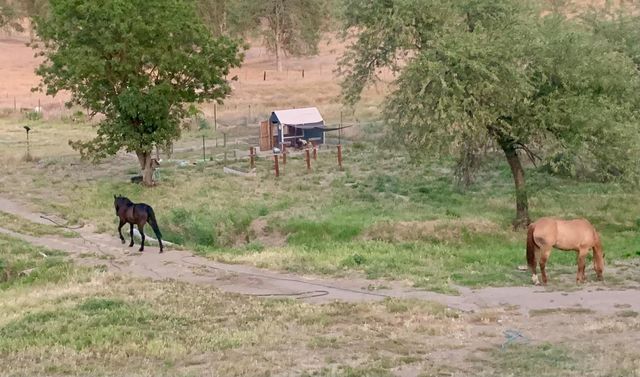 37728 Squaw Valley Road, Yokuts Valley, CA 93675