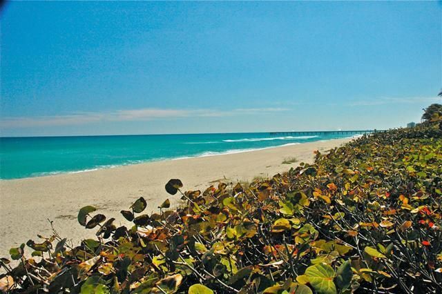 194 POINCIANA Drive, Jupiter, FL 33458