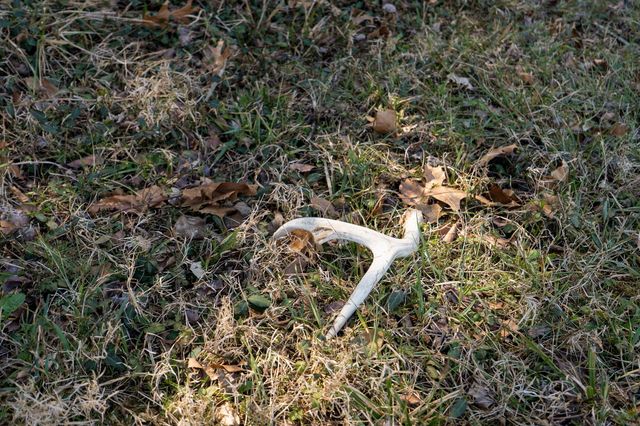 4037 S State Highway J, Rogersville, MO 65742