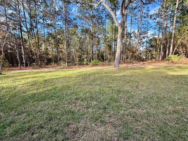 1575 W LAMPLIGHTER STREET, Citrus Springs, FL 34434