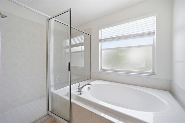 716 GRAND CANYON DRIVE, Valrico, FL 33594