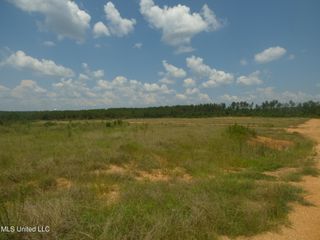 161 Old Holmesville Road, Tylertown, MS 39667
